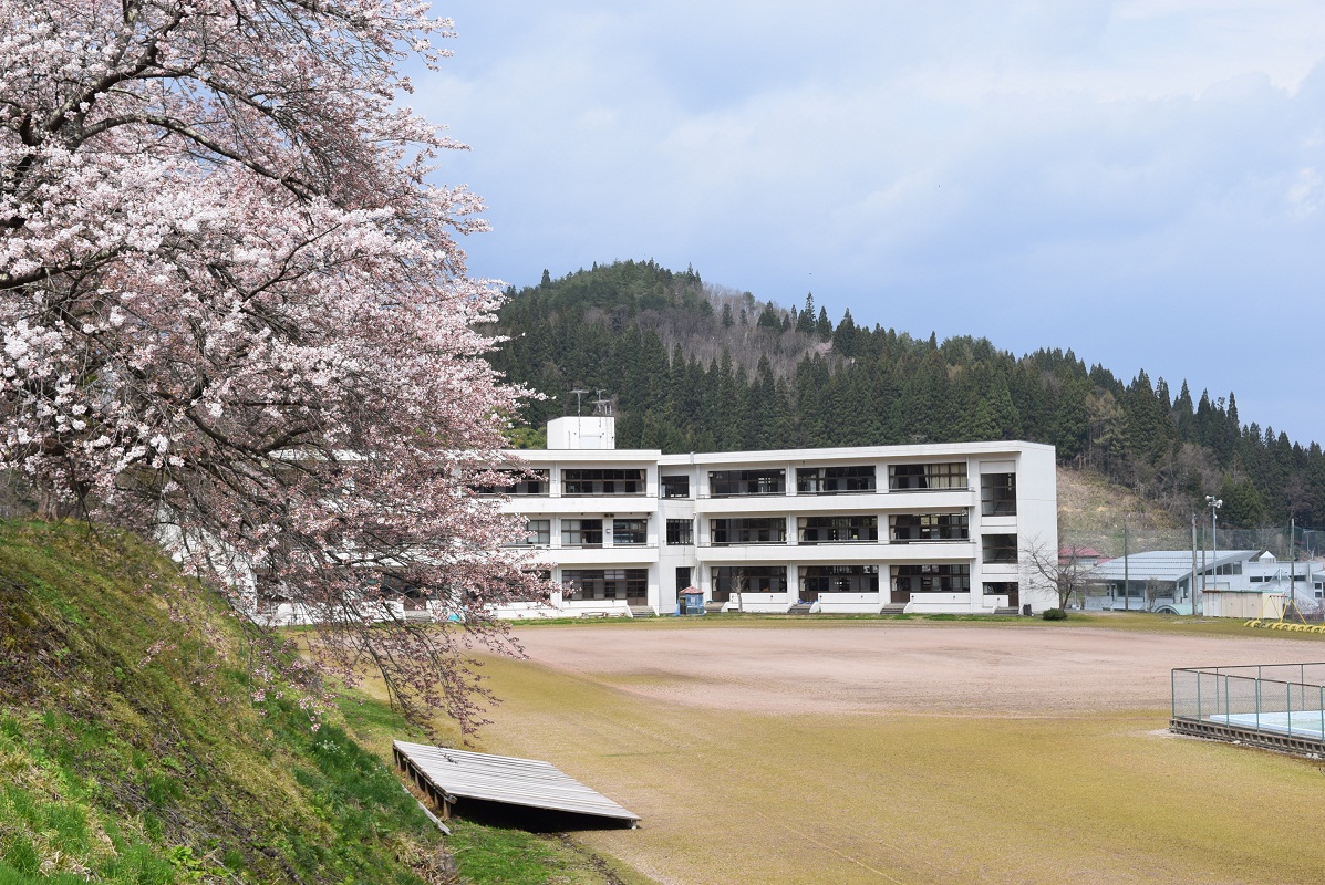学校と桜
