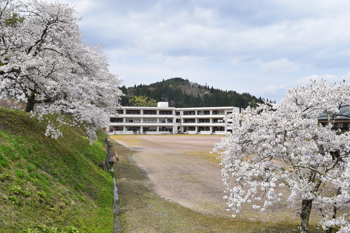 学校と桜①